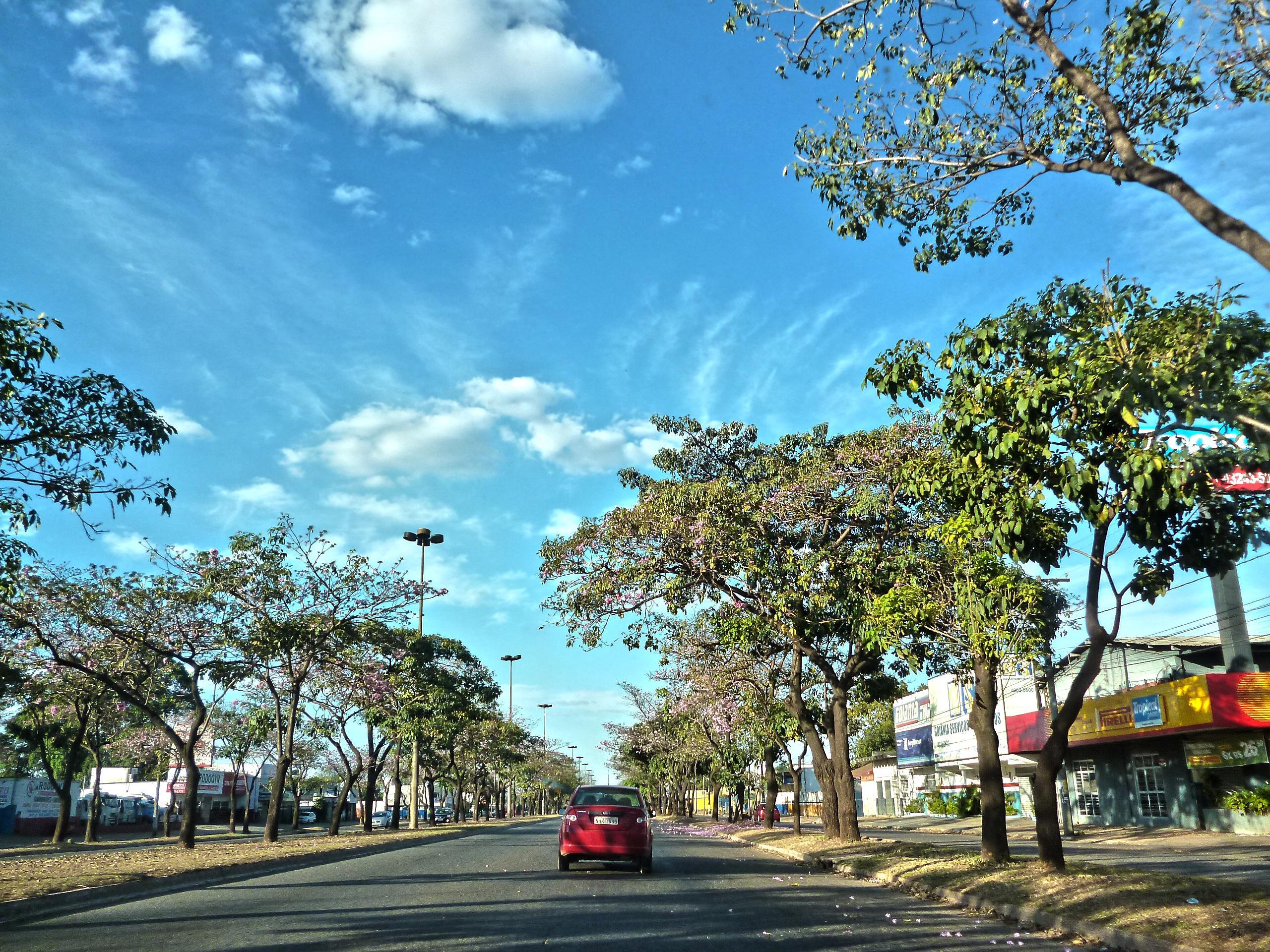 como-dirigir-no-transito-de-goiania