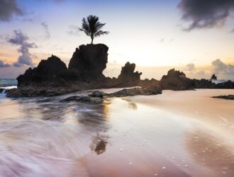 roteiro-nordeste-natal-a-tambaba