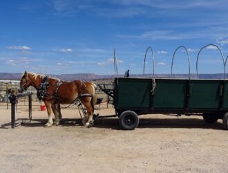 Viagem de carro pelo oeste americano