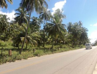 top-5-estradas-do-interior-do-brasil