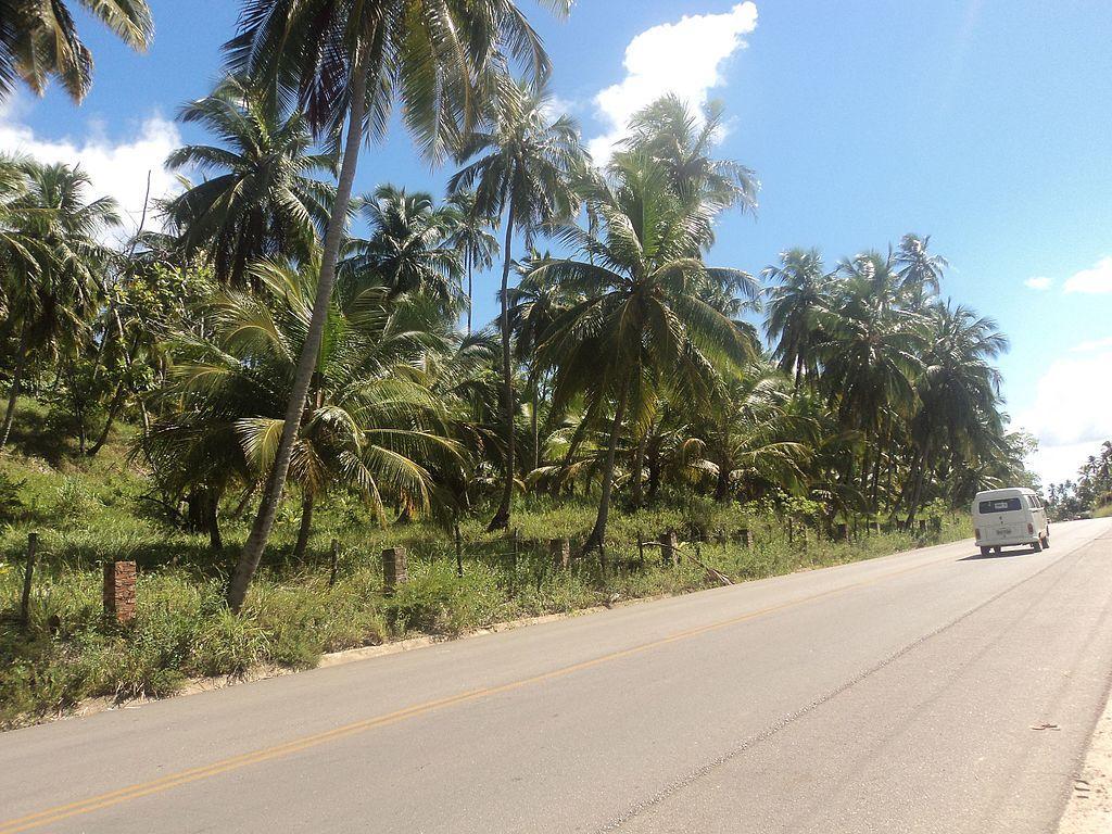 top-5-estradas-do-interior-do-brasil