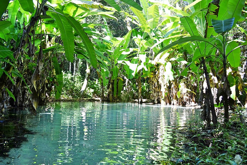Onde fica o Jalapão?