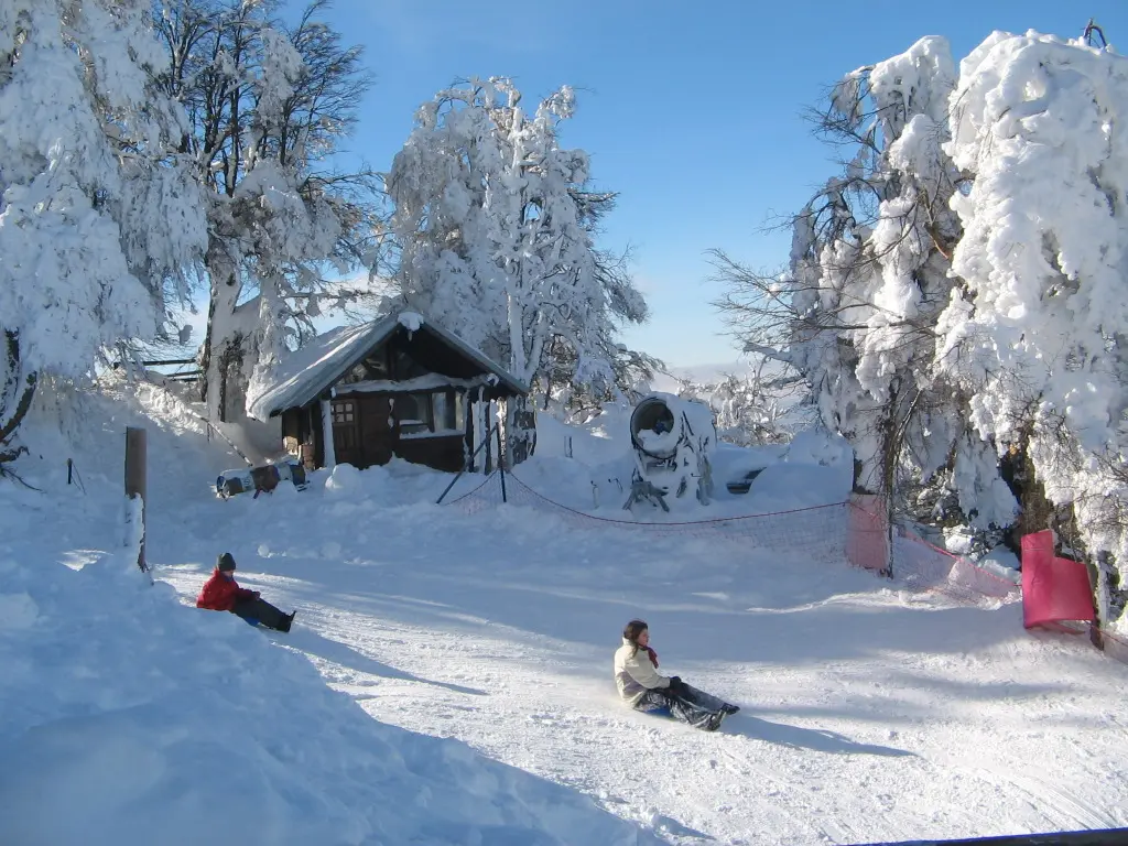 Foto de un viaje a la Patagonia, con un sendero de nieve para hacer deporte, con pinos helados y una cabaña de madera al fondo.