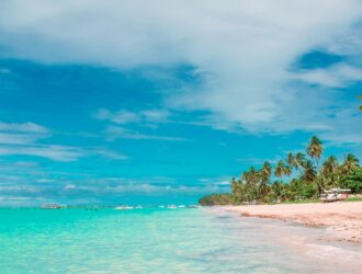 praia com coqueiros e céu azul em maceió