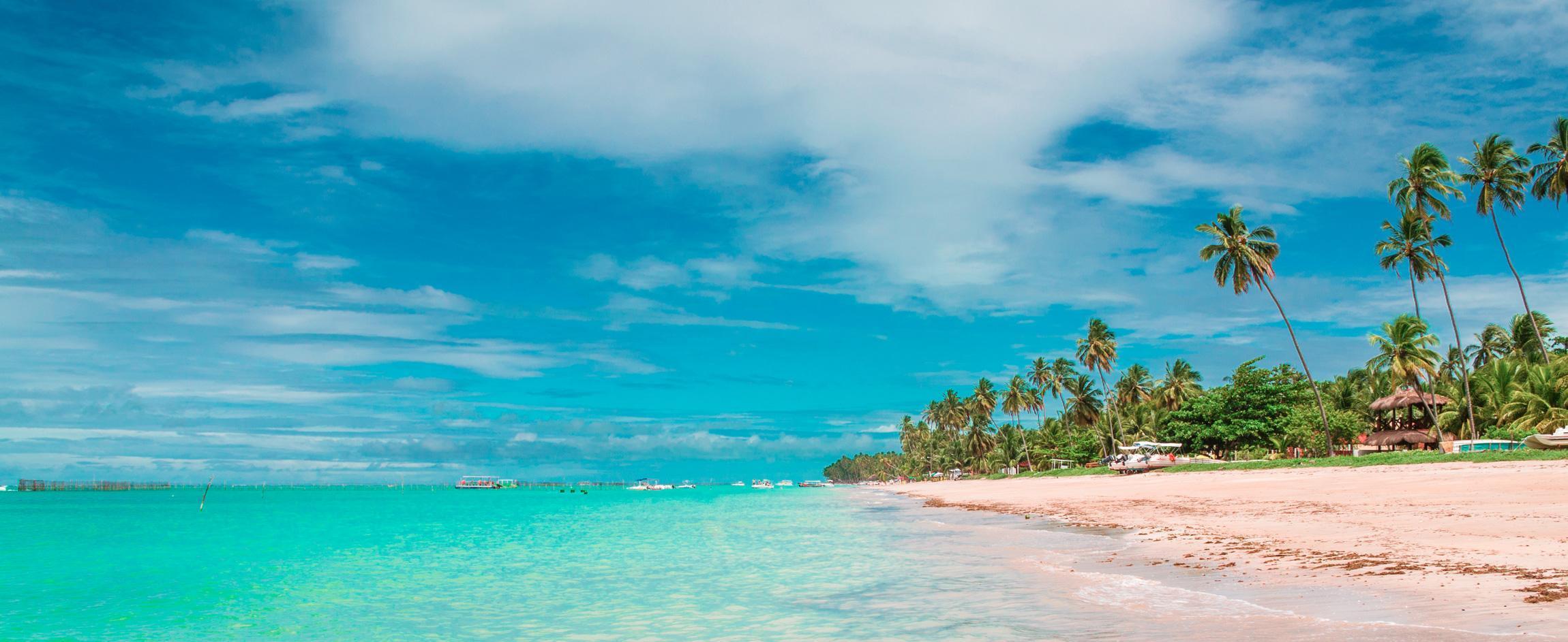 praia com coqueiros e céu azul em maceió