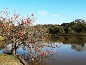 Vista do Parque Monsenhor Emilio Salem em Campinas, interior de São Paulo