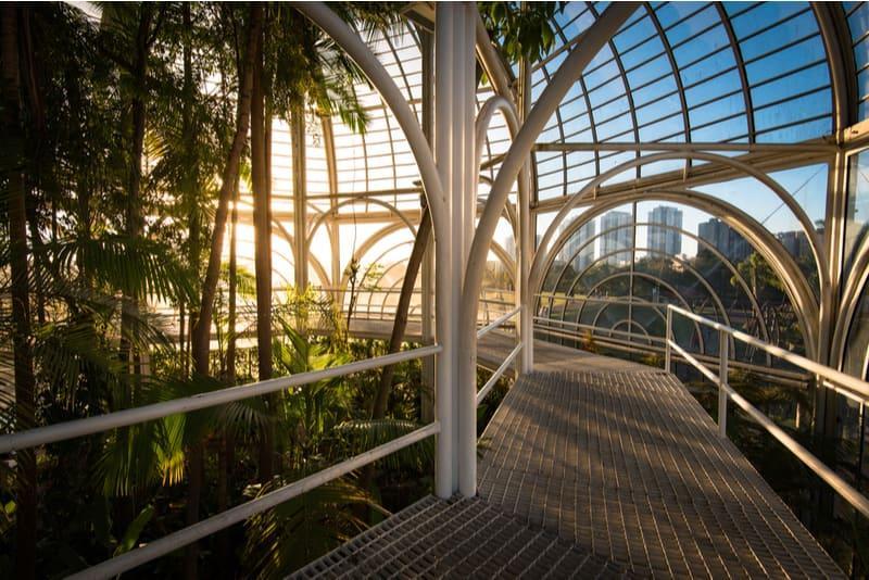 interior da estufa do jardim botânico de curitiba