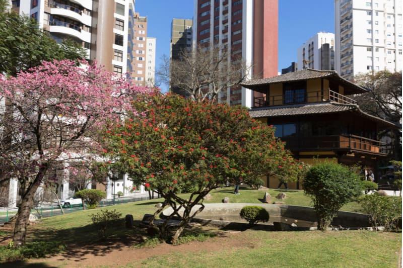 cerejeira e casa em estilo japones na praça do japão em curitiba