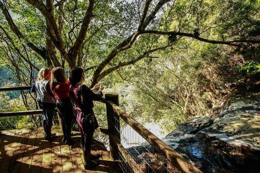 trilha e vista da natureza e cachoeira no ecoparque sperry