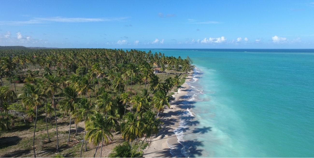vista aérea da praia de antunes em maragogi