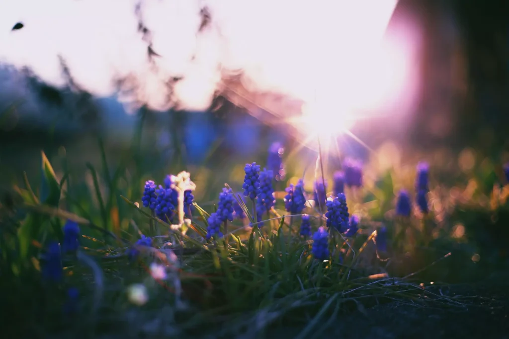 estados unidos en primavera