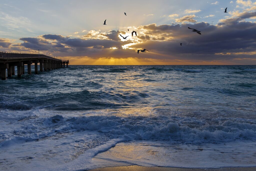 road trip estados unidos