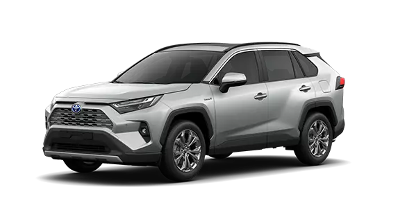 Nuevo Toyota Rav4 en color gris