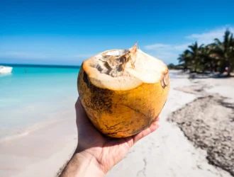 Turista con un coco en Hawai