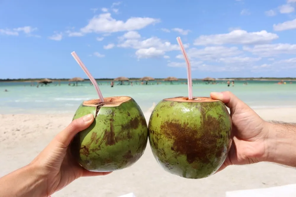 Foto de duas pessoas "brindando" com duas águas de coco. O mar está ao fundo bem clarinho na região de Jericoacoara, Nordeste do Brasil.
