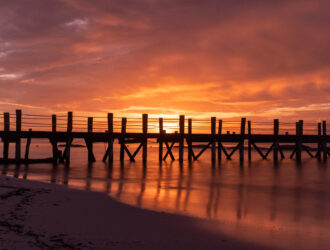 que hacer en playa del carmen