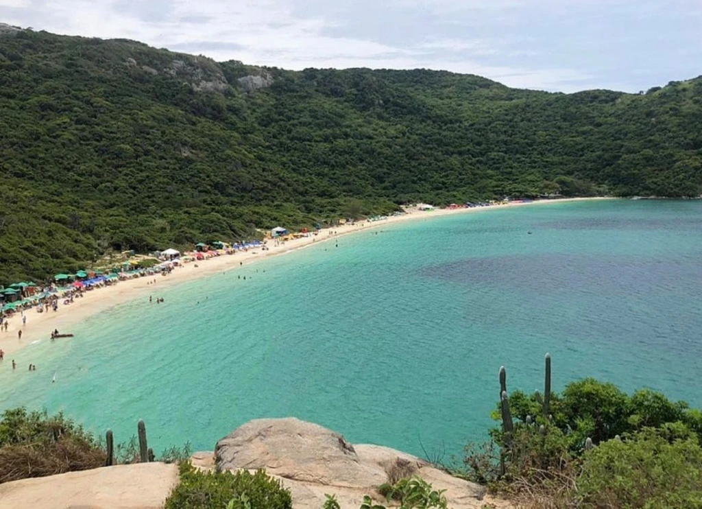 Foto do alto do morro onde é possível observar a Praia do Forno em Arraial do Cabo, no Rio de Janeiro. A vista mostra o mar bem verde e a vegetação em volta. O dia está nublado.