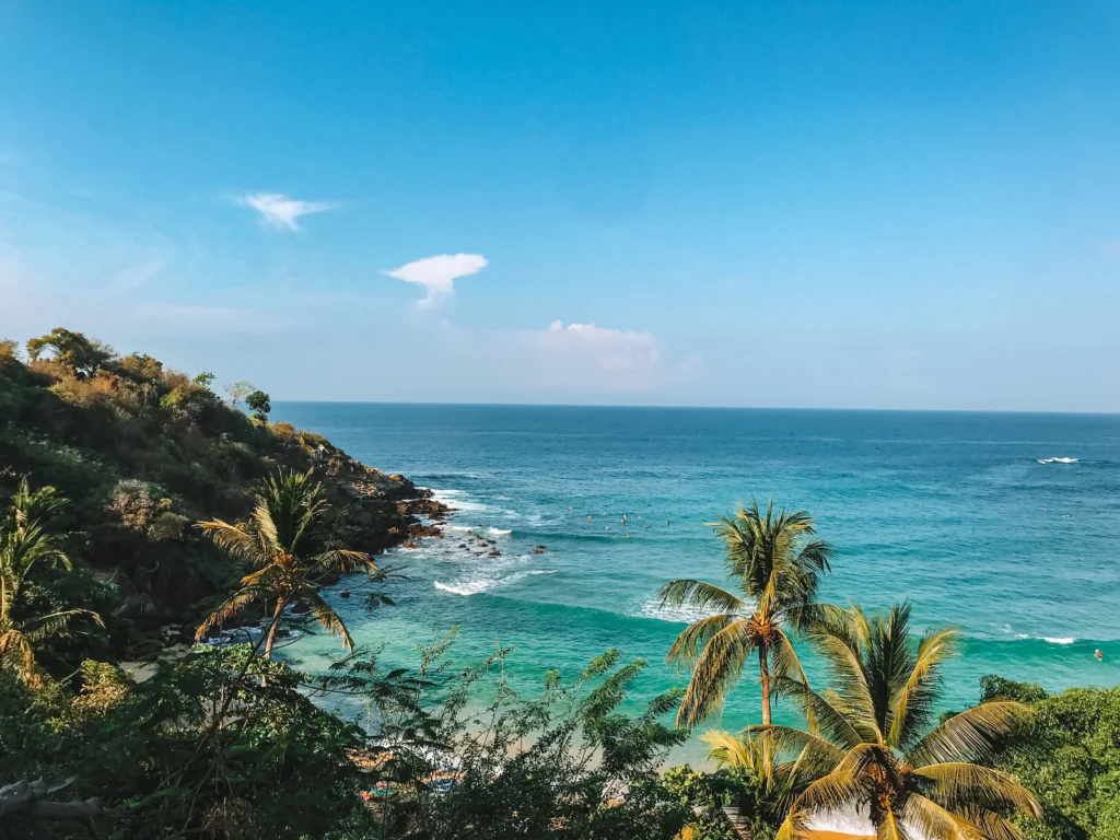 Foto de Playa del Carmen, una de las mejores playas de México, con una palmera verde cerca del mar bajo un cielo azul durante el día.
