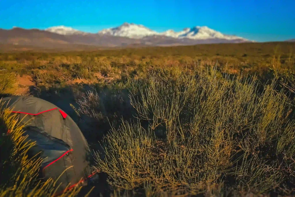 Paisaje en Argentina con unas montañas de fondo en un dia soleado