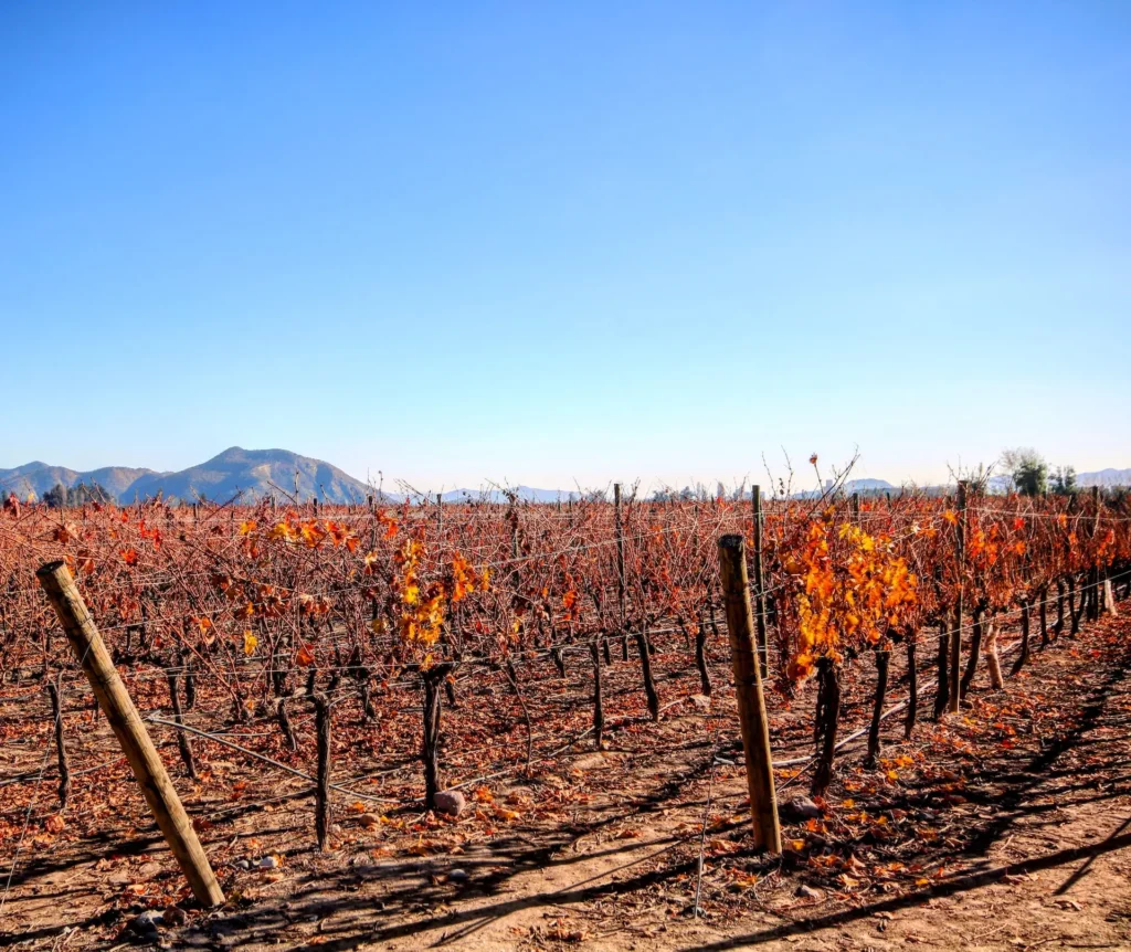 Foto de bodega en Pirque, Chile, con colores anaranjadas y el cielo azul. Un escenario perfecto para una escapada romántica.