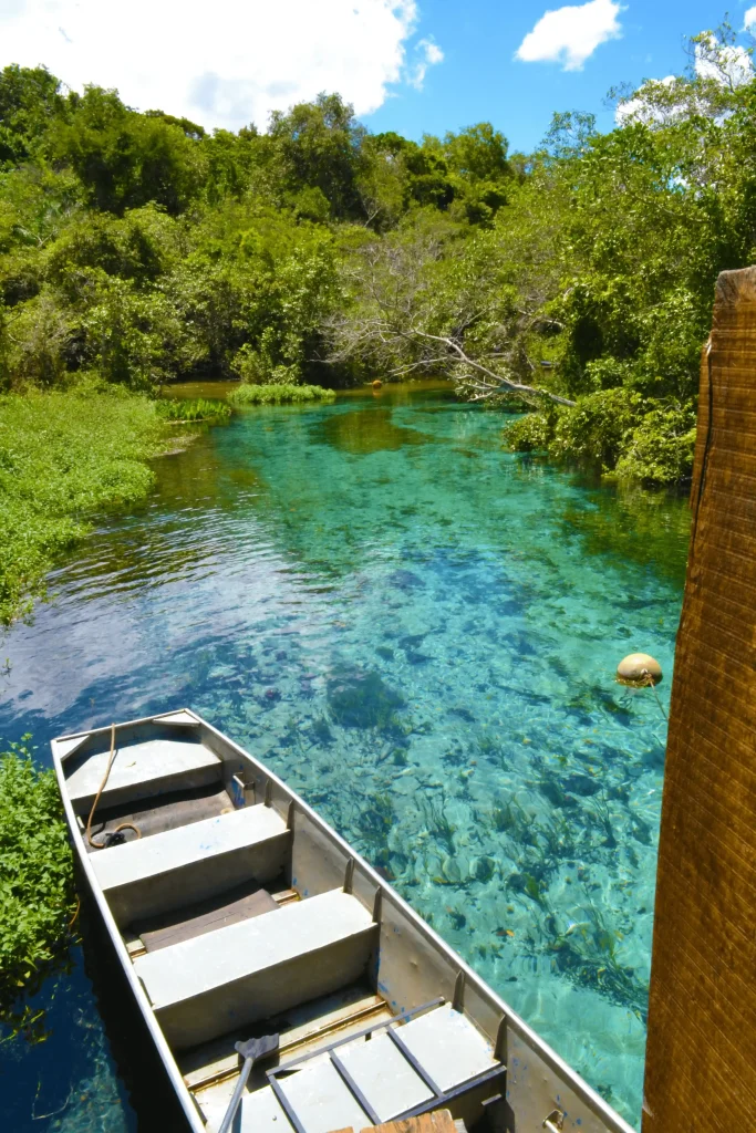 Foto de um dos rios de Bonito, no Mato Grosso do Sul, a água é super cristalina podendo ver o fundo mesmo com a profundidade. Há um barco estacionado na ponta e a vegetação super verde rodeia o rio.