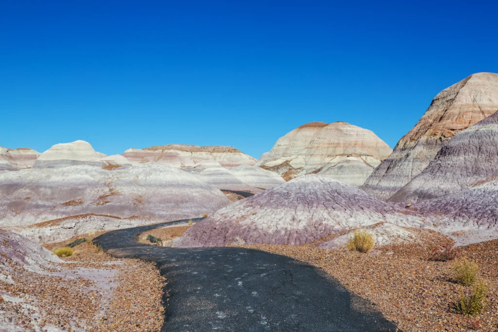 The Petrified Forest National Park, near Holbrook, Arizona.