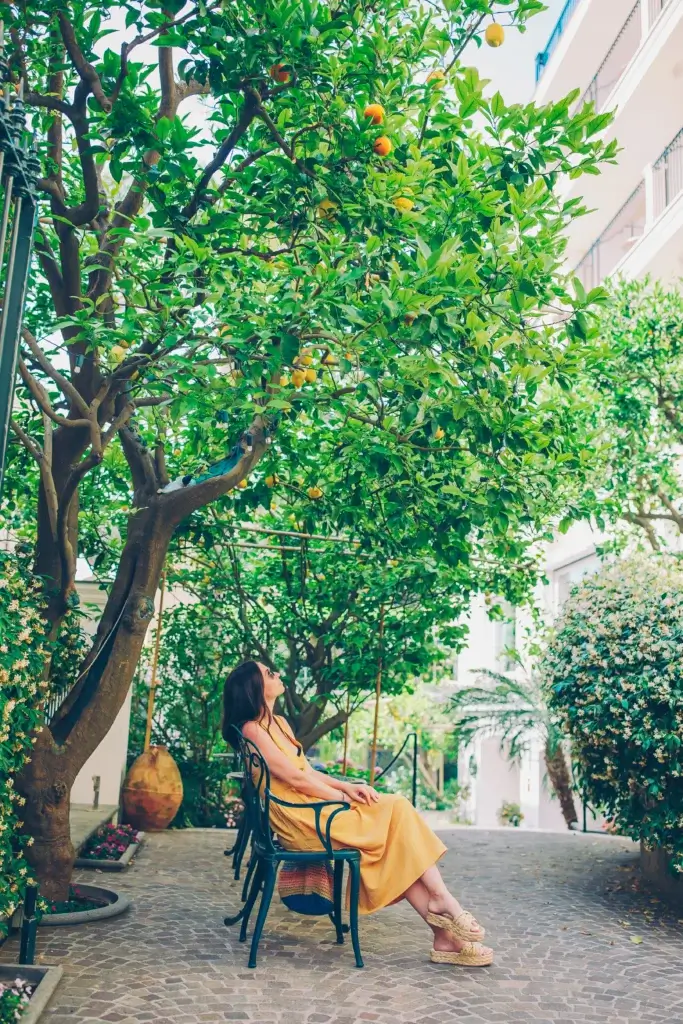 A visitor admires a lemon tree in Sorrento, which is known for its citrus groves and production of limoncello, a lemon liqueur.