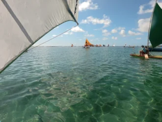 Foto do mar bem verde cristalino com as jangadas sobre ele. Há pessoas nas jangadas e as jangadas são coloridas. O céu está bem azul.
