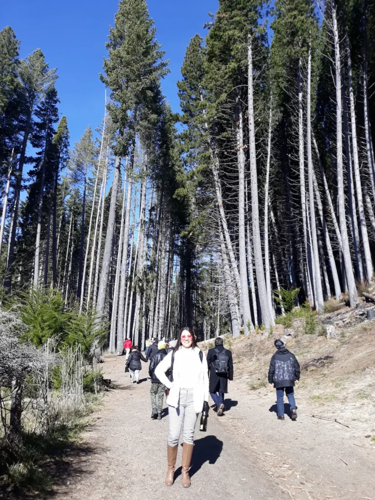 Foto de personas recorriendo el sendero de los Arrayanes, una de las mejores cosas que hacer en Bariloche.